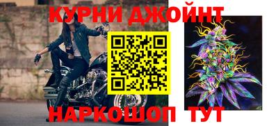 гашик Кимры