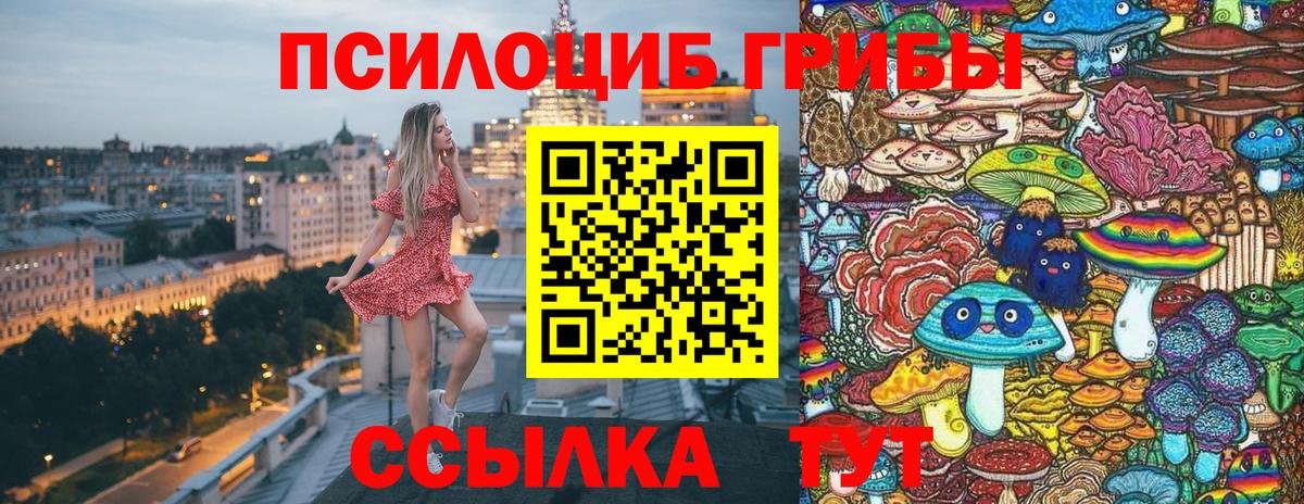 Галлюциногенные грибы Magic Shrooms Луга