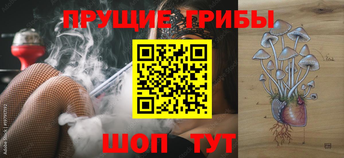даркнет сайт  Псилоцибиновые грибы мицелий  Луга  Вход с VPN  Галлюциногенные грибы MAGIC MUSHROOMS 
