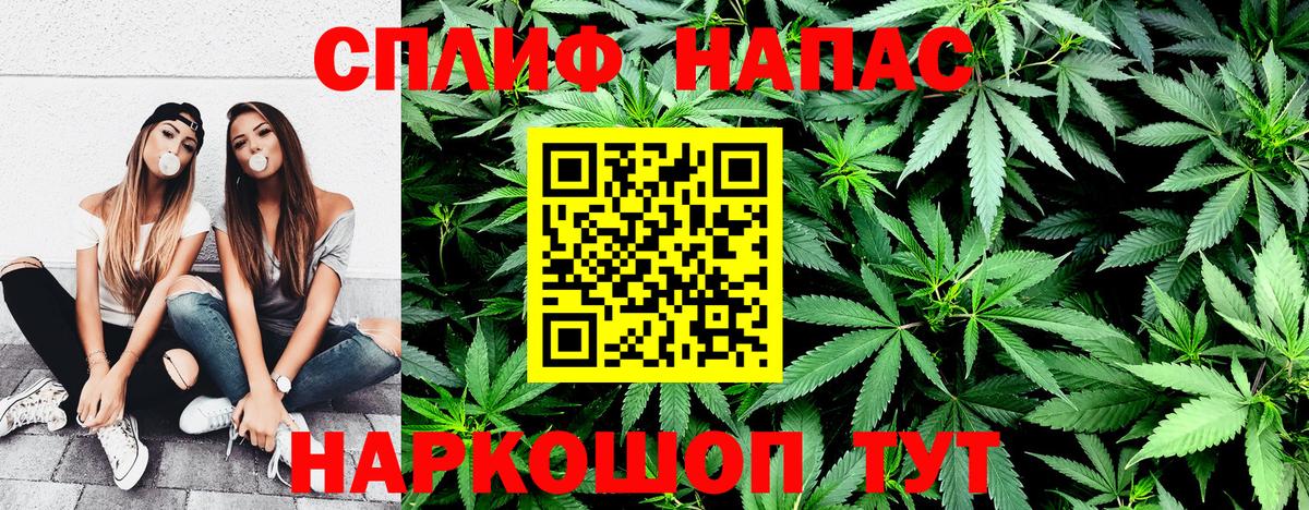 Конопля SATIVA & INDICA Луга